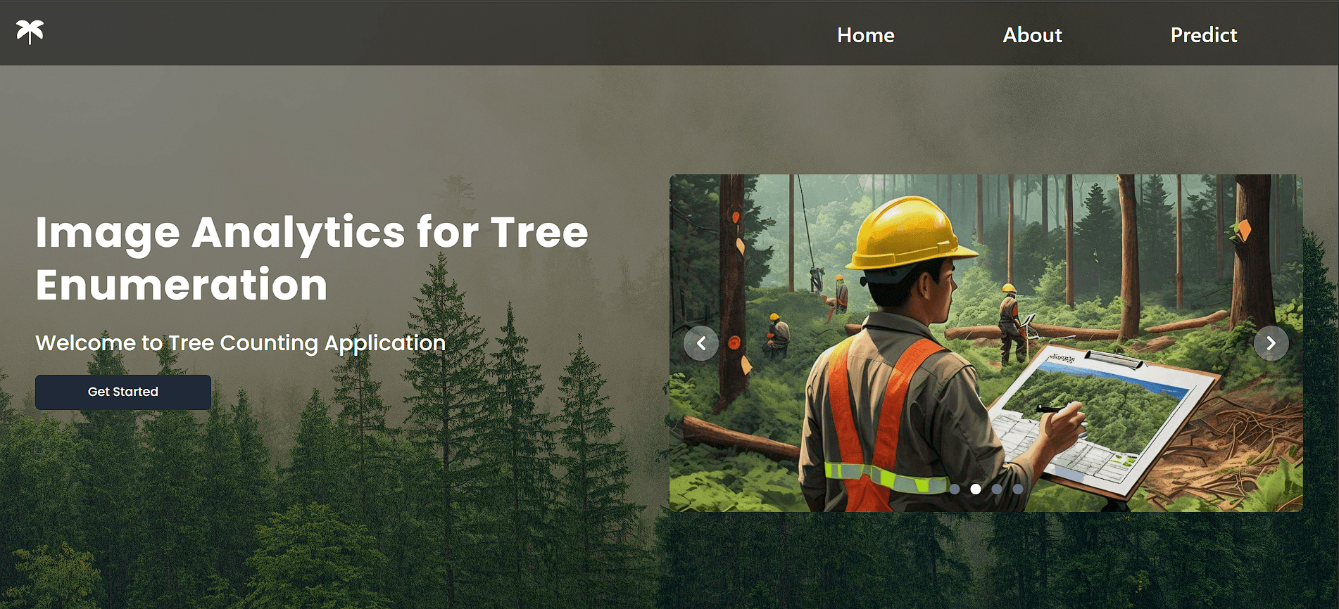 Tree Enumeration – YOLOv11-based Counting